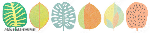 Leaves png cut out element set