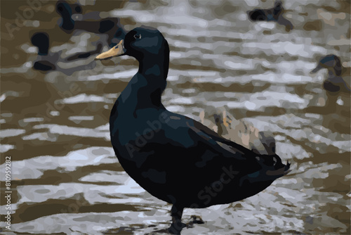 pato en el lago 