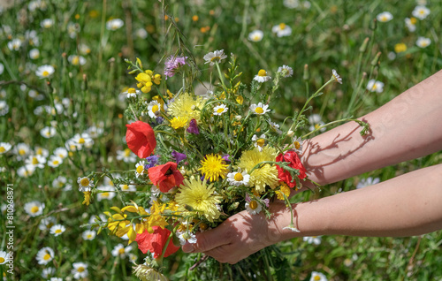 Wild flower bouquet in hands of young caucasian woman on floral, grass meadow backdrop. Summer or Spring Beautiful background with copy space. Happy woman collected bouquet of flowers at sunny day © Olga