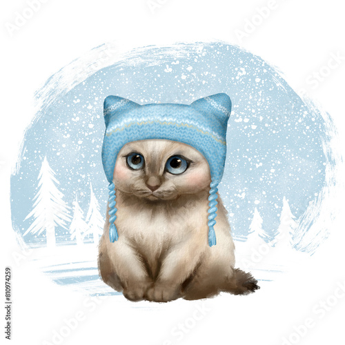 Cute kitten in knitted hat. Winter illustration with cat and snow.