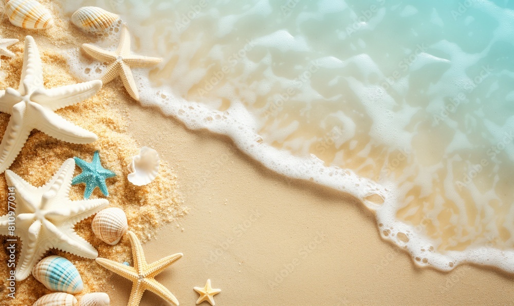 Beach scene concept with sea shells and starfish on sand Beach scene concept with sea shells and starfish on sand