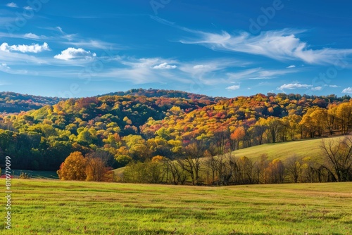 Lush Green Field With Trees in Background