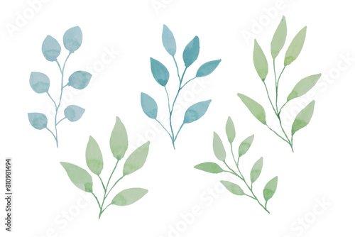 Assortment of watercolor leaves illustration set - green leaf branches collection for wedding, greetings, stationary, wallpapers, fashion, background. olive, green leaves, Eucalyptus etc