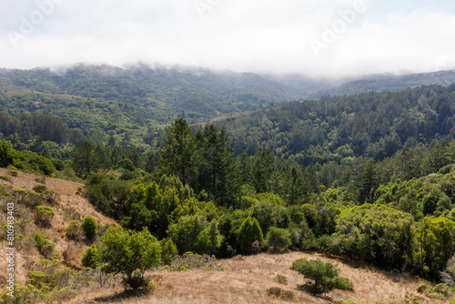 view on the hiking path near the Muir Woods valley at the top of the mountain at the coast in california