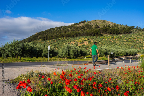 Greenway of Oil Natural Trail, Alcaudete, Jaén province, Andalusia, Spain