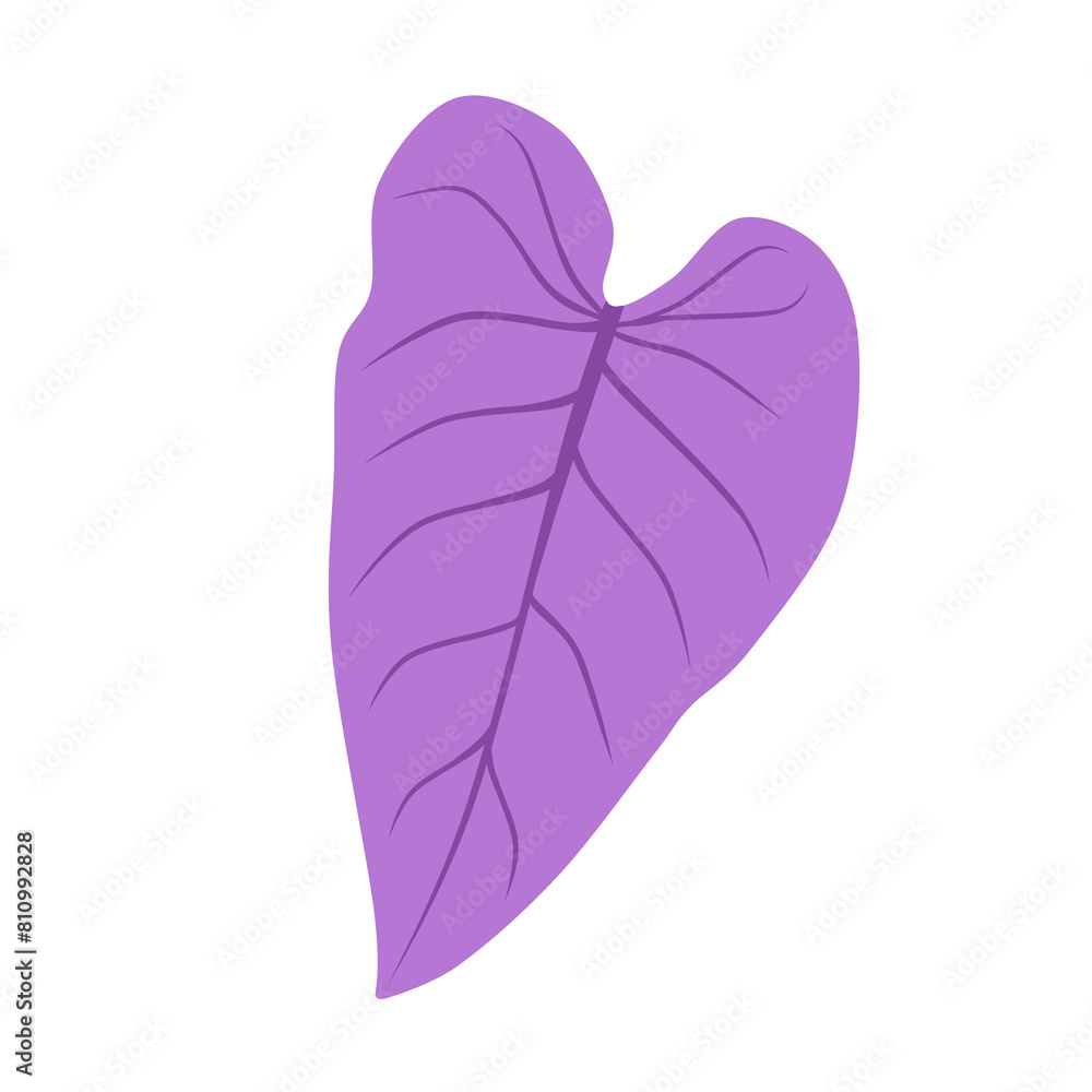 Doodle leaves unique philodendron illustration leaf botanical drawing that can be used for sticker, book, scrapbook, icon, decorative, e.t.c cute with purple color Doodle leaves unique philodendron illustration leaf botanical drawing that can be used for sticker, book, scrapbook, icon, decorative, e.t.c cute with purple color