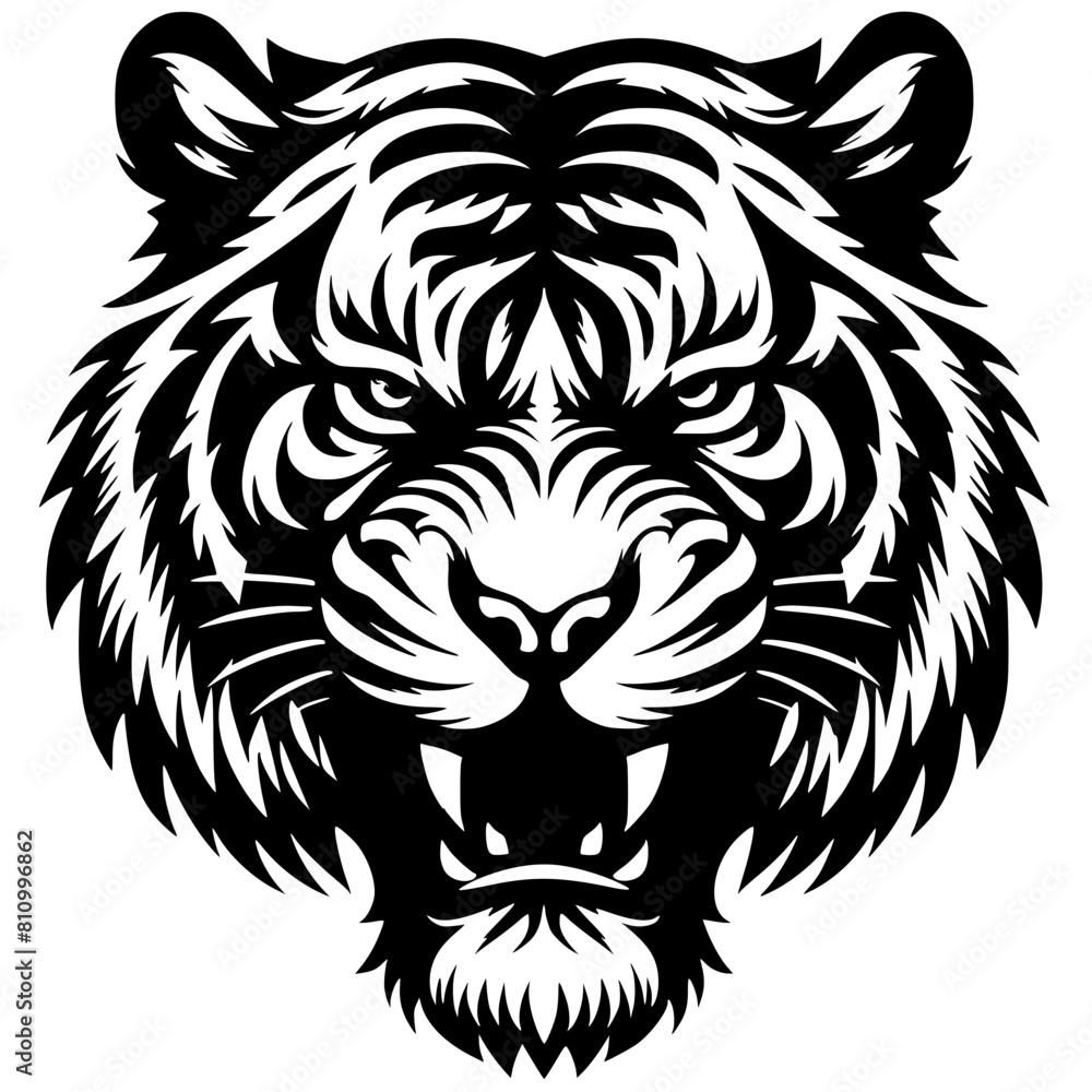 Obraz premium Tiger head ready to pounce