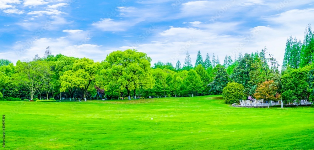 landscape with grass and sky free dwonlode jpg background free donlode
