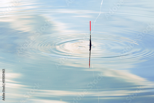 fishing license, fishing float on the water surface with circles around, fish are biting