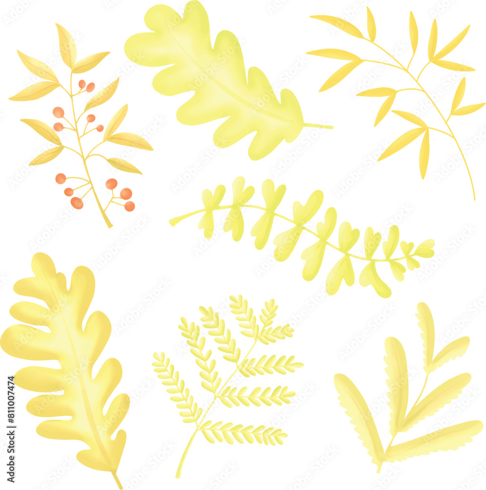 Fototapeta premium yellow leaves