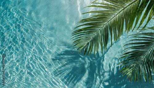 Tropical Leaves' Shadows Cast on Clear Azure Waters from Above: Abstract Summer Beach Weekend Banner © Tatiana