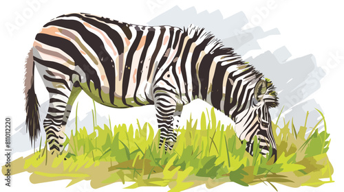 Zebra eating grass Vector style vector design illustration
