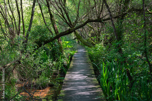 black pond in seignosse in france
