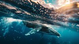 The view from underwater of whales and marine life swimming in an ocean is split into two parts