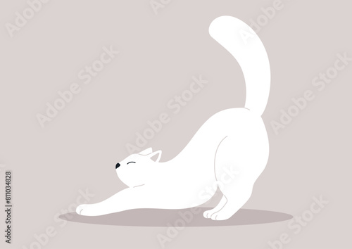 Elegant Feline Stretching in a Minimalist Realm, A graceful white cat extends into a stretch against a simple backdrop