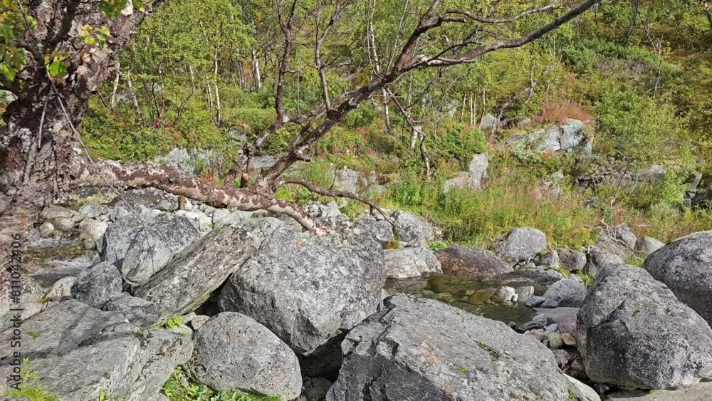 The river at Vakkotavare falling into the lake valley through a system of cascades and waterfalls in the rocky river bed, surrounded by birch trees on the bank,leading past the Kungsleden hiking trail The river at Vakkotavare falling into the lake valley through a system of cascades and waterfalls in the rocky river bed, surrounded by birch trees on the bank,leading past the Kungsleden hiking trail