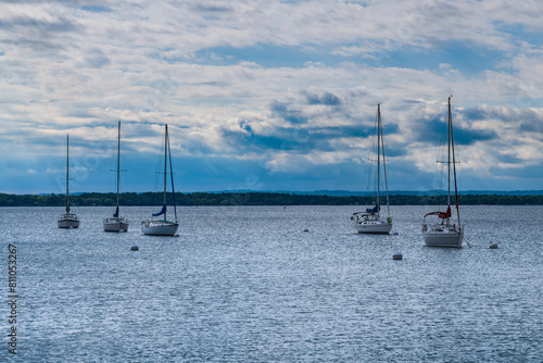 Sailboats moored in the bay