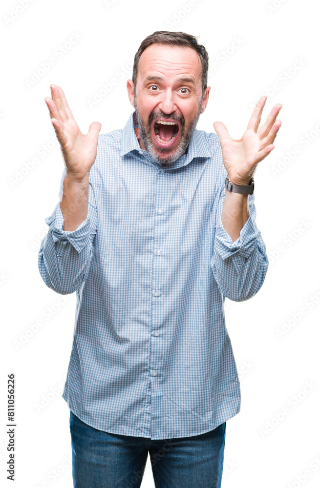 Middle age hoary senior business man over isolated background celebrating crazy and amazed for success with arms raised and open eyes screaming excited. Winner concept Middle age hoary senior business man over isolated background celebrating crazy and amazed for success with arms raised and open eyes screaming excited. Winner concept