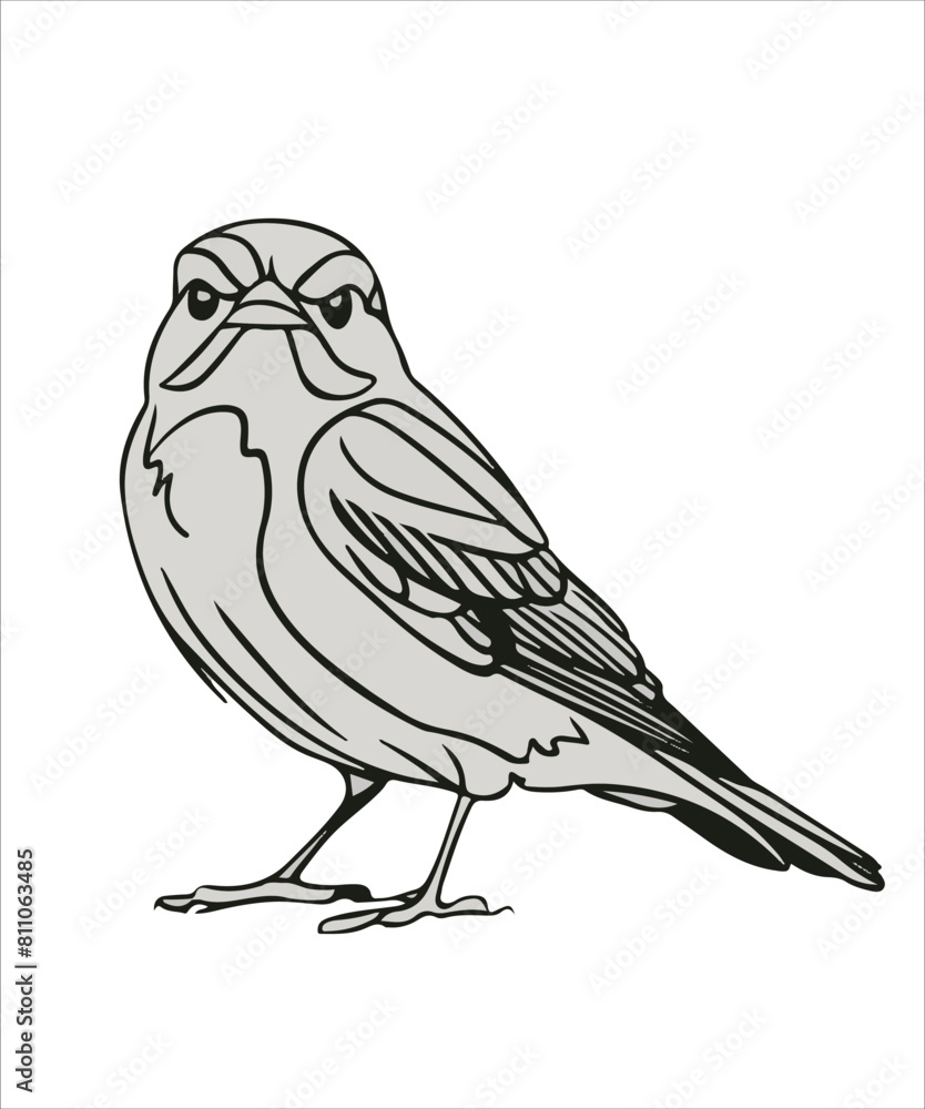 Flycatcher Bird Victor Design Flycatcher Bird Victor Design