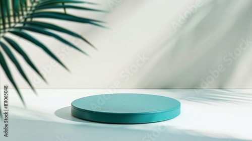 Aqua blue cosmetic disk with tropical leaf shadow  perfect for background for luxury organic cosmetic  skin care  beauty treatment product display 3D 