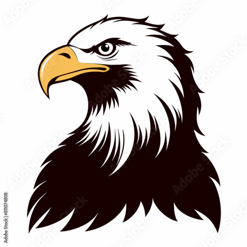 american bald eagle