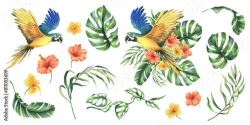 Tropical palm leaves  monstera and flowers of plumeria  hibiscus  bright juicy with blue-yellow macaw parrot. Hand drawn watercolor botanical illustration. Set of elements isolated from background