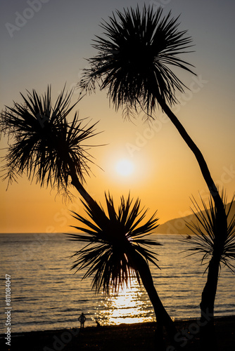 A man is walking on the beach near a palm tree