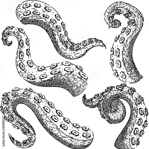 octopus kraken tentacle set hand drawn. squid sea, tattoo art, underwater fantasy octopus kraken tentacle vector sketch. isolated black illustration
