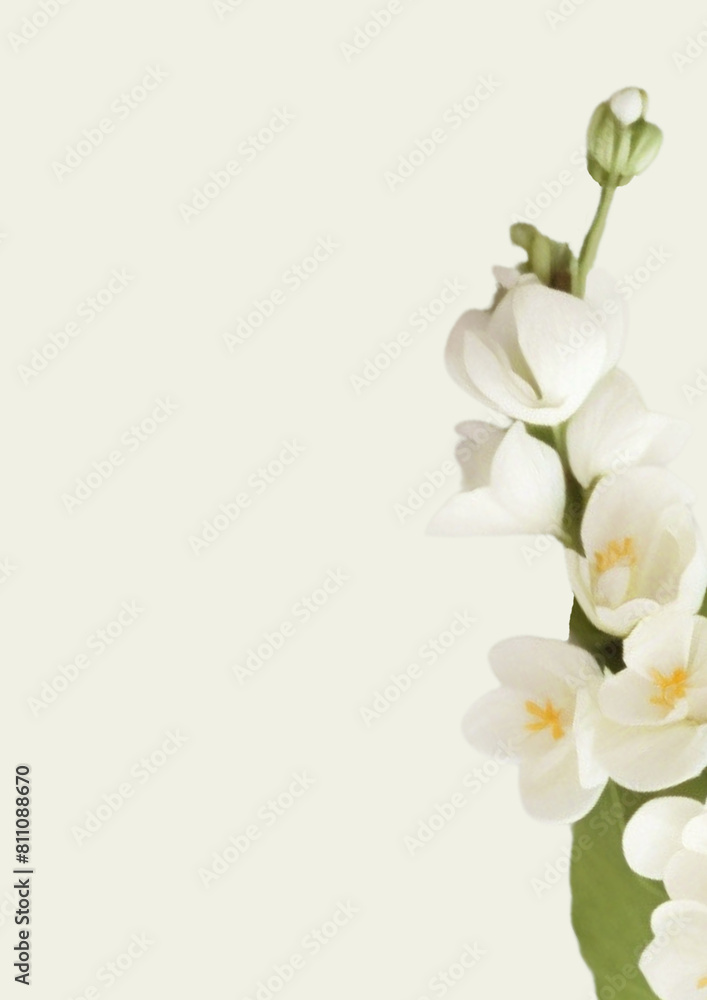 flower background for wedding card and others flower background for wedding card and others