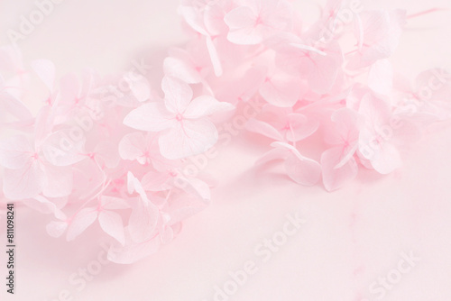 ピンクの花の背景