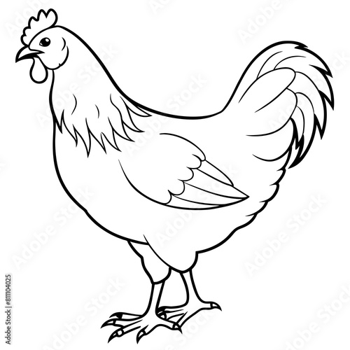 Cock and hen vector illustration