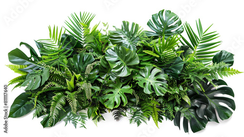 Green leaves of tropical plants bush floral arrangement indoors garden nature backdrop isolated on white background © AI IMAGES COLLECTION