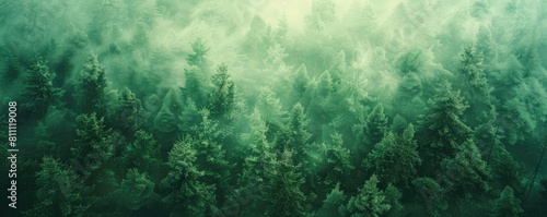 abstract reforestation background
