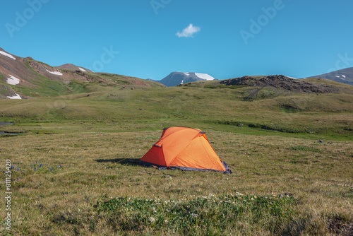 Sunlit orange tent on alpine grassy glade near white flowers of dryas among green rocky hills against snow mountain top under one small cloud in blue sky in sunny day. High mountains in bright sun.