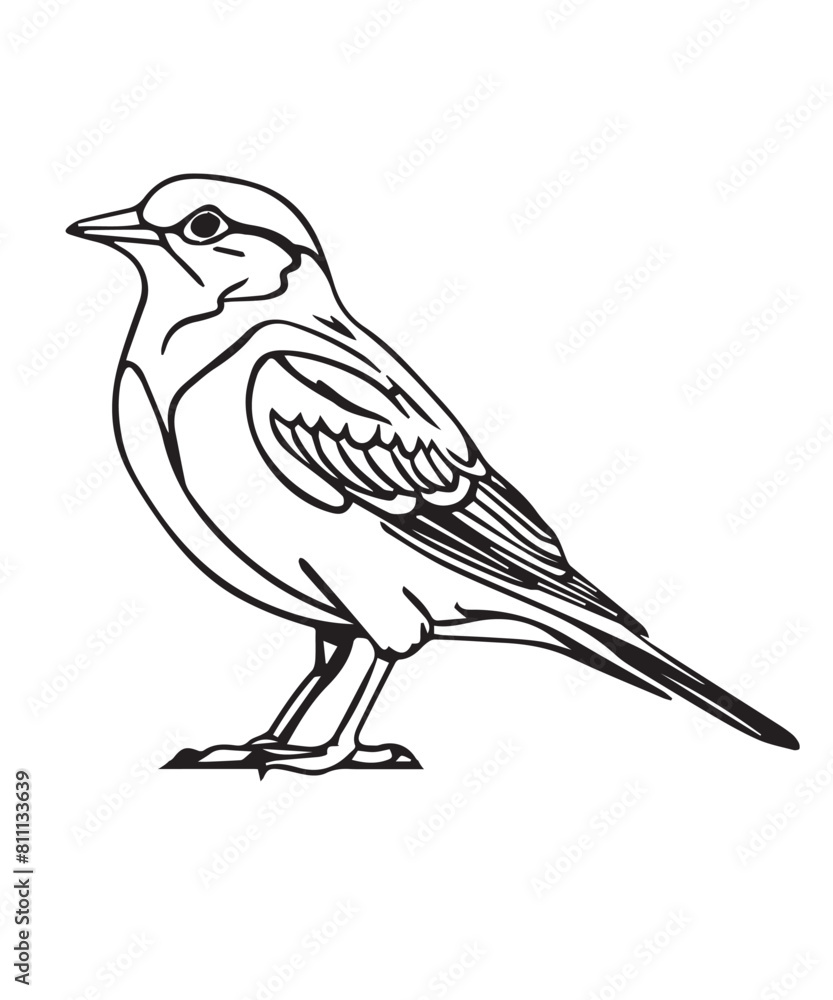 Skylark Bird Victor Design Skylark Bird Victor Design