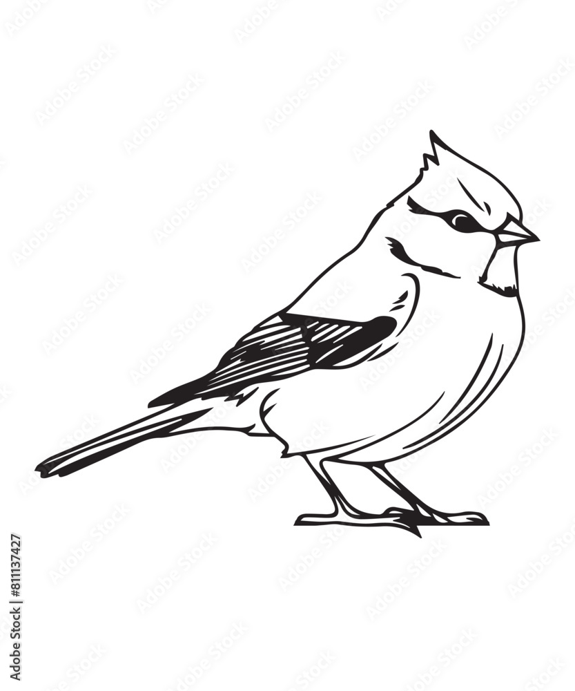 Obraz premium Titmouse Bird Victor Design