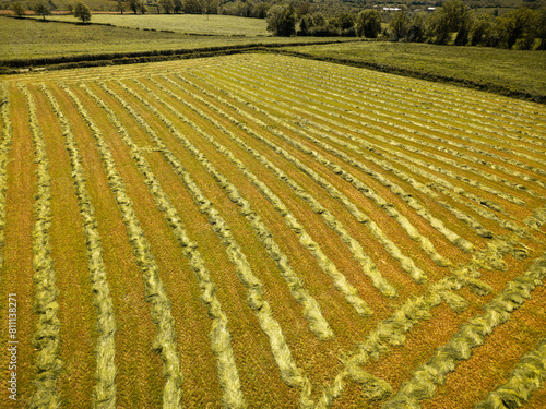 freshly mown bright agricultural field aerial drone view of green landscape