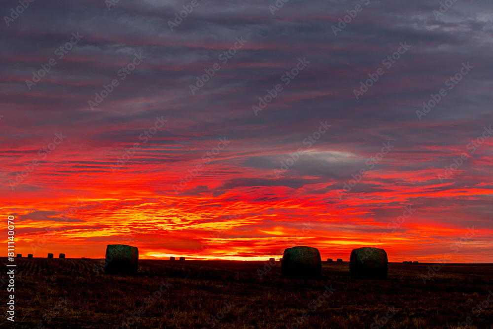 Fototapeta premium Rocky View County, Alberta, Canada