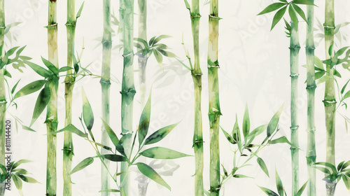 Watercolor painting of bamboo trees with green leaves isolated on white  zen and oriental background.