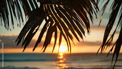 Sunset behind palm tree leaves 16:9 with copyspace photo