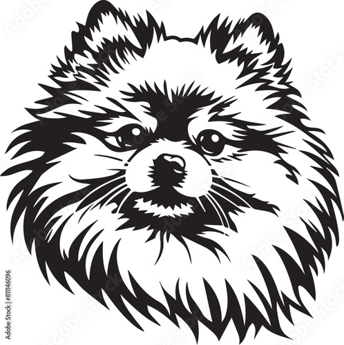 illustration of cute pomeranian spitz dog