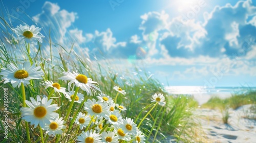 Summer background, daisies bloom on a sandy beach under a bright summer sky. Sunlight warms sea grasses and wildflowers. Ocean waves lap at the shore, creating a tranquil coastal scene © mikeosphoto