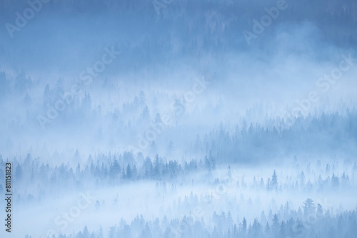 Morning Fog in Kings Canyon National Park