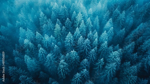 Imagine a mesmerizing aerial perspective of a vast pine forest blanketed in slate blue mist, evoking a sense of mystery and tranquility, with hints of unseen wildlife