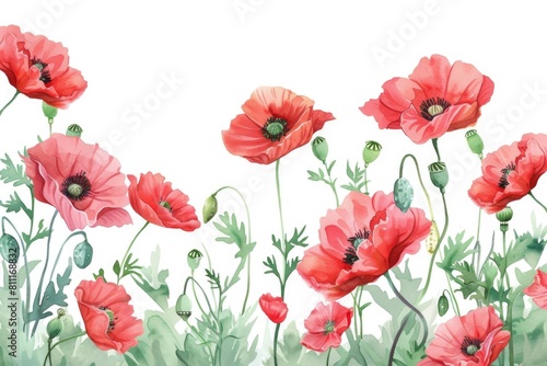 Vibrant red poppies painted on a clean white canvas. Perfect for floral themes and home decor