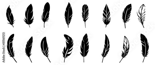 Set of bird feather silhouette, vector illustration, isolated on white background