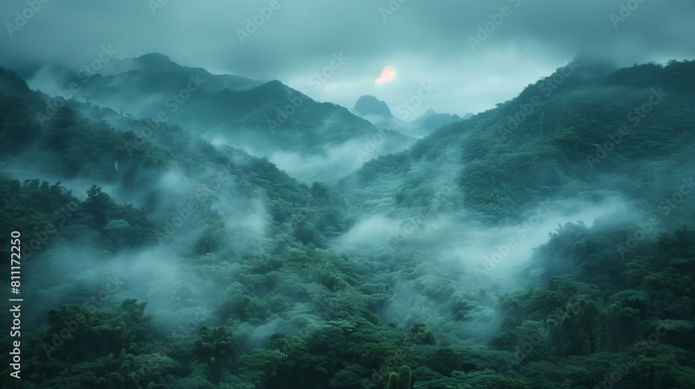 Misty Forest Aerial Photograph with Pine Trees. Foggy, Atmospheric Nature Background Misty Forest Aerial Photograph with Pine Trees. Foggy, Atmospheric Nature Background