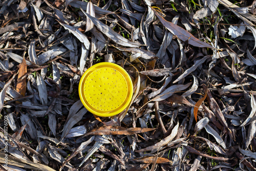An old yellow round container on dried leaves.