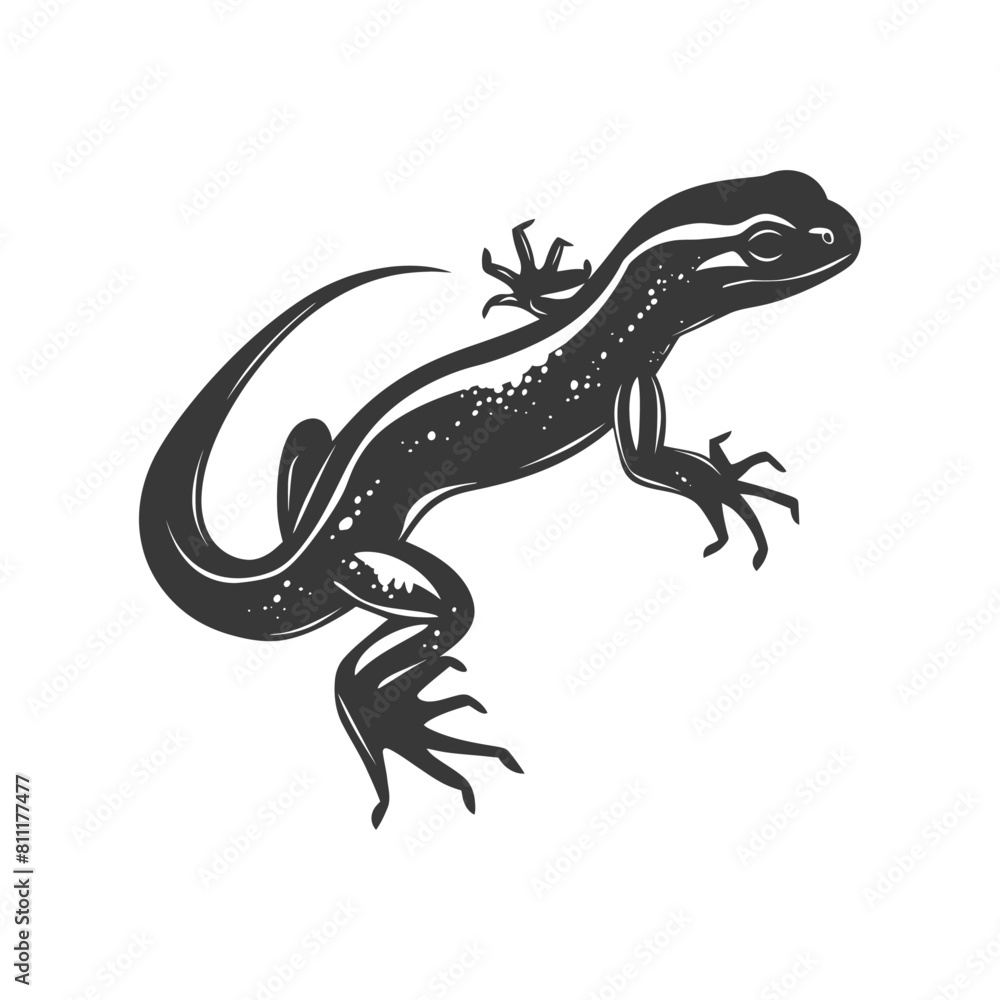 Naklejka premium Silhouette salamander animal black color only