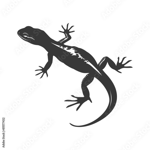 Silhouette salamander animal black color only